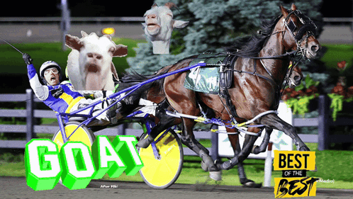 A Man Riding A Horse Drawn Carriage With The Word Goat On The Side GIF