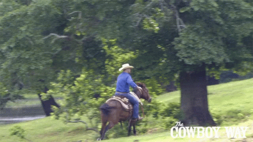 A Man Riding A Horse In A Park With The Cowboy Way Written On The Bottom GIF