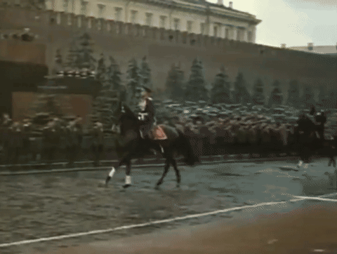 A Man Riding A Horse In Front Of A Large Crowd GIF