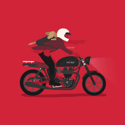 A Man Riding A Motorcycle With A Dog On His Back That Says Ho Bo On It GIF
