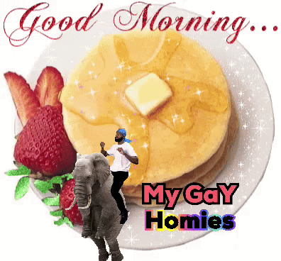 A Man Riding An Elephant On A Plate Of Pancakes With The Words " My Gay Homies " Below It GIF