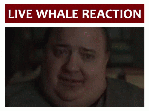 A Man 'S Face Is Behind A Sign That Says ' Live Whale Reaction ' GIF