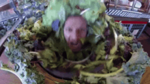 A Man 'S Head Is Surrounded By Lettuce Leaves On A Plate . GIF