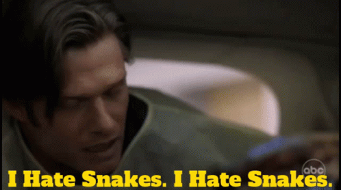 A Man Says " I Hate Snakes I Hate Snakes " In Yellow Letters GIF