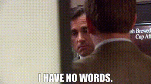 A Man Says I Have No Words In Front Of A Mirror GIF