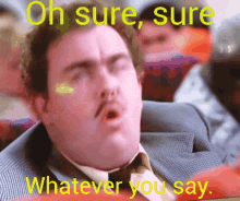 A Man Says Oh Sure Sure Whatever You Say GIF