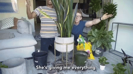 A Man Says She 'S Giving Me Everything While Kneeling Next To A Potted Plant GIF