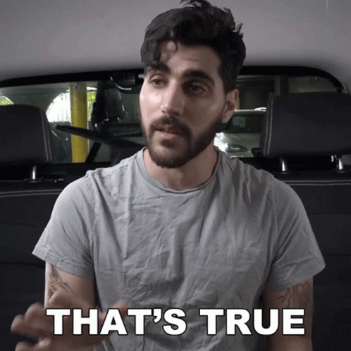 A Man Says That 'S True In A Car GIF