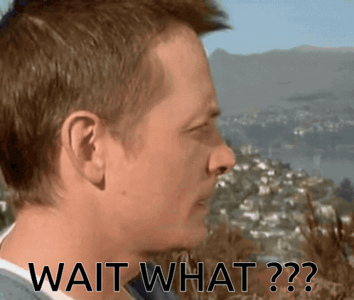 A Man Says Wait What In Front Of A Landscape GIF