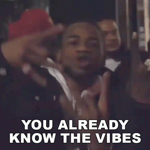 A Man Says " You Already Know The Vibes " In A Video GIF