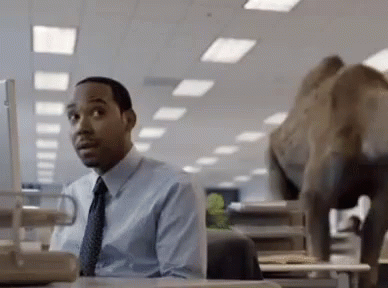 A Man Sitting At A Desk In Front Of A Computer With An Elephant Behind Him GIF
