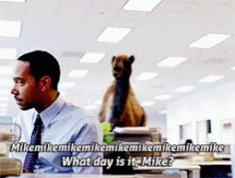 A Man Sitting At A Desk With A Bear On Top Of A Stack Of Papers Asking What Day Is It GIF