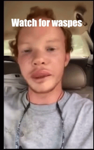 A Man Sitting In A Car With The Words Watch For Waspes Written On His Face GIF