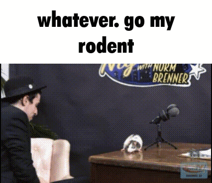 A Man Sitting In Front Of A Microphone With The Words " Whatever Go My Rodent " Written Above Him GIF
