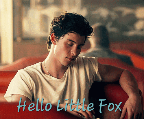 A Man Sitting On A Red Couch With The Words Hello Little Fox Written Below Him GIF