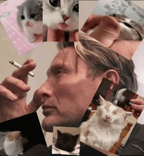 A Man Smoking A Cigarette And Holding A Cat GIF
