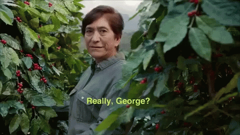 A Man Standing In A Bush With The Words " Really George " On The Screen GIF