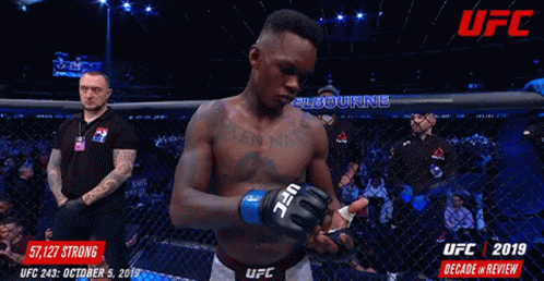 A Man Standing In A Cage With Ufc 2019 Decade In Review On The Bottom GIF