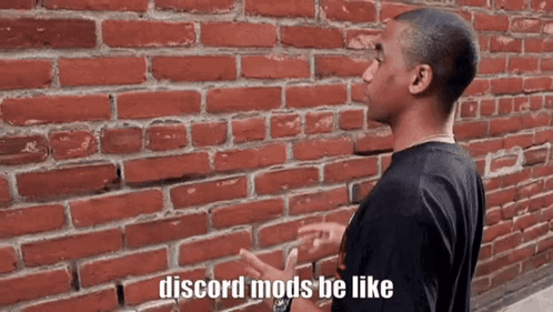 A Man Standing In Front Of A Brick Wall With The Words Discord Mods Be Like GIF