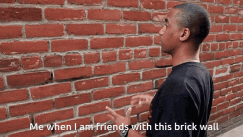 A Man Standing In Front Of A Brick Wall With The Words Me When I Am Friends With This Brick Wall GIF