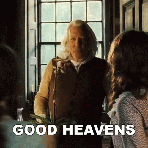 A Man Standing In Front Of A Window With The Words Good Heavens Written On The Bottom GIF