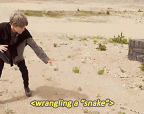 A Man Standing In The Sand With The Words Wrangling A Snake GIF