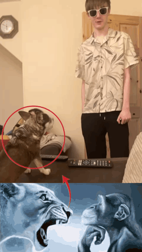 A Man Standing Next To A Dog And A Painting Of A Lion And Monkey GIF