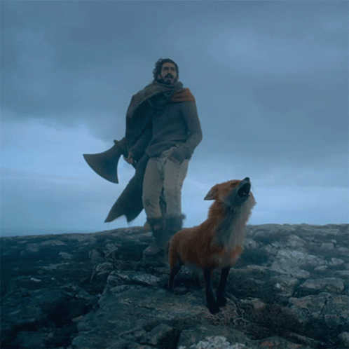 A Man Standing Next To A Fox On A Rocky Hillside GIF