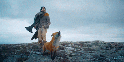 A Man Standing Next To A Fox On Top Of A Rocky Hill GIF