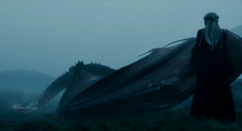 a man standing next to a large dragon in a field