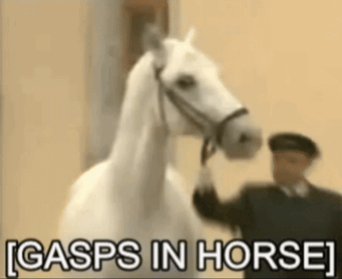 A Man Standing Next To A White Horse With The Words Gasps In Horse Written Below It GIF