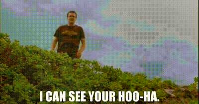 A Man Standing On A Hill With The Words I Can See Your Hoo-Ha GIF
