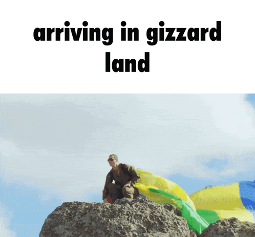 Man Standing On Rock Arriving In Gizzard Land GIF