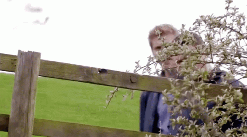 A Man Stands Behind A Wooden Fence In A Grassy Field GIF
