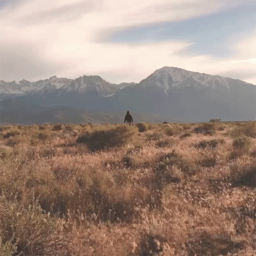 A Man Stands In A Field With Mountains In The Background GIF