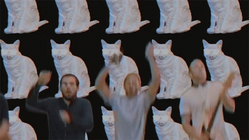 A Man Stands In Front Of A Wall Of White Cats GIF