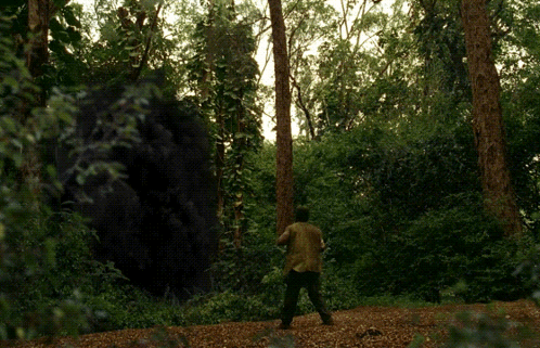 A Man Stands In The Middle Of A Forest Looking At A Large Rock GIF