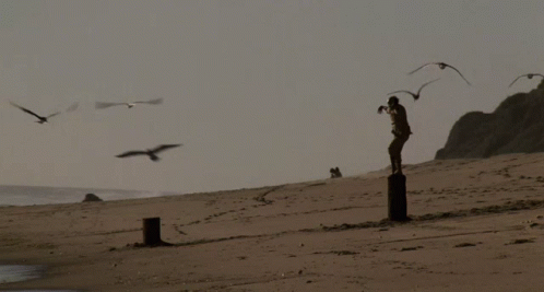 A Man Stands On A Pole On A Beach With Birds Flying Around Him GIF