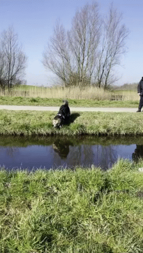 A Man Walking A Dog Along A Path Next To A River GIF