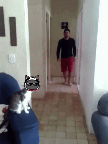 A Man Walking Down A Hallway Next To A Cat With Sunglasses On GIF