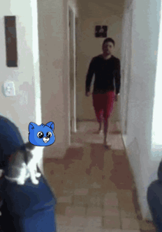 A Man Walking Down A Hallway With A Blue Cat In The Background GIF