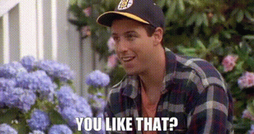 A Man Wearing A Baseball Cap And Plaid Shirt Is Standing In Front Of Purple Flowers And Says `` You Like That '' . GIF
