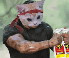A Man Wearing A Cat Mask Is Holding A Bottle Of Jelly Bug Killer GIF