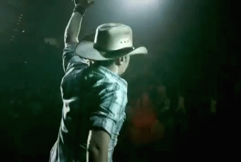 A Man Wearing A Cowboy Hat And A Plaid Shirt Is Standing On A Stage With His Arms In The Air . GIF