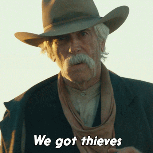 A Man Wearing A Cowboy Hat And A Scarf Says We Got Thieves GIF