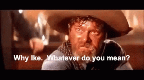 A Man Wearing A Cowboy Hat Is Asking Why Like Whatever Do You Mean . GIF