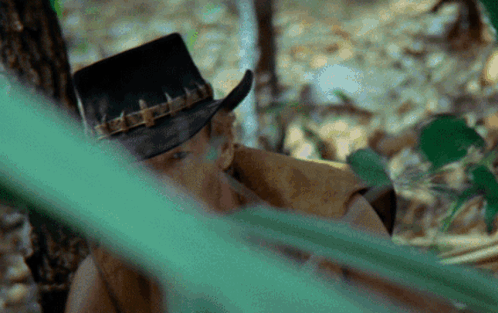A Man Wearing A Cowboy Hat Is Looking Through A Green Leaf GIF
