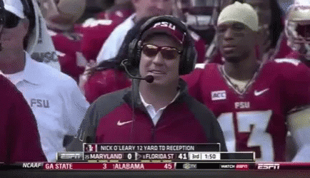 a man wearing a fsu hat and sunglasses stands in a crowd of people watching a football game