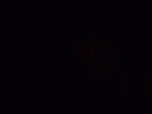 A Man Wearing A Fur Coat And A Necklace Looks At The Camera GIF