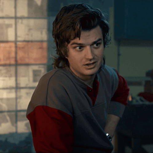 A Man Wearing A Grey And Red Sweater Looks At The Camera GIF